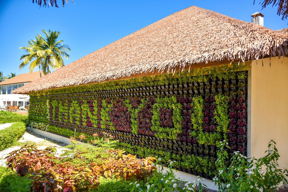 Reethi Faru Resort — снимок 19