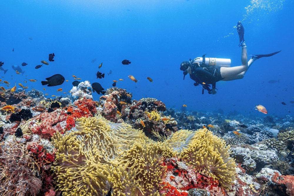 Finolhu Baa Atoll Maldives — снимок 28