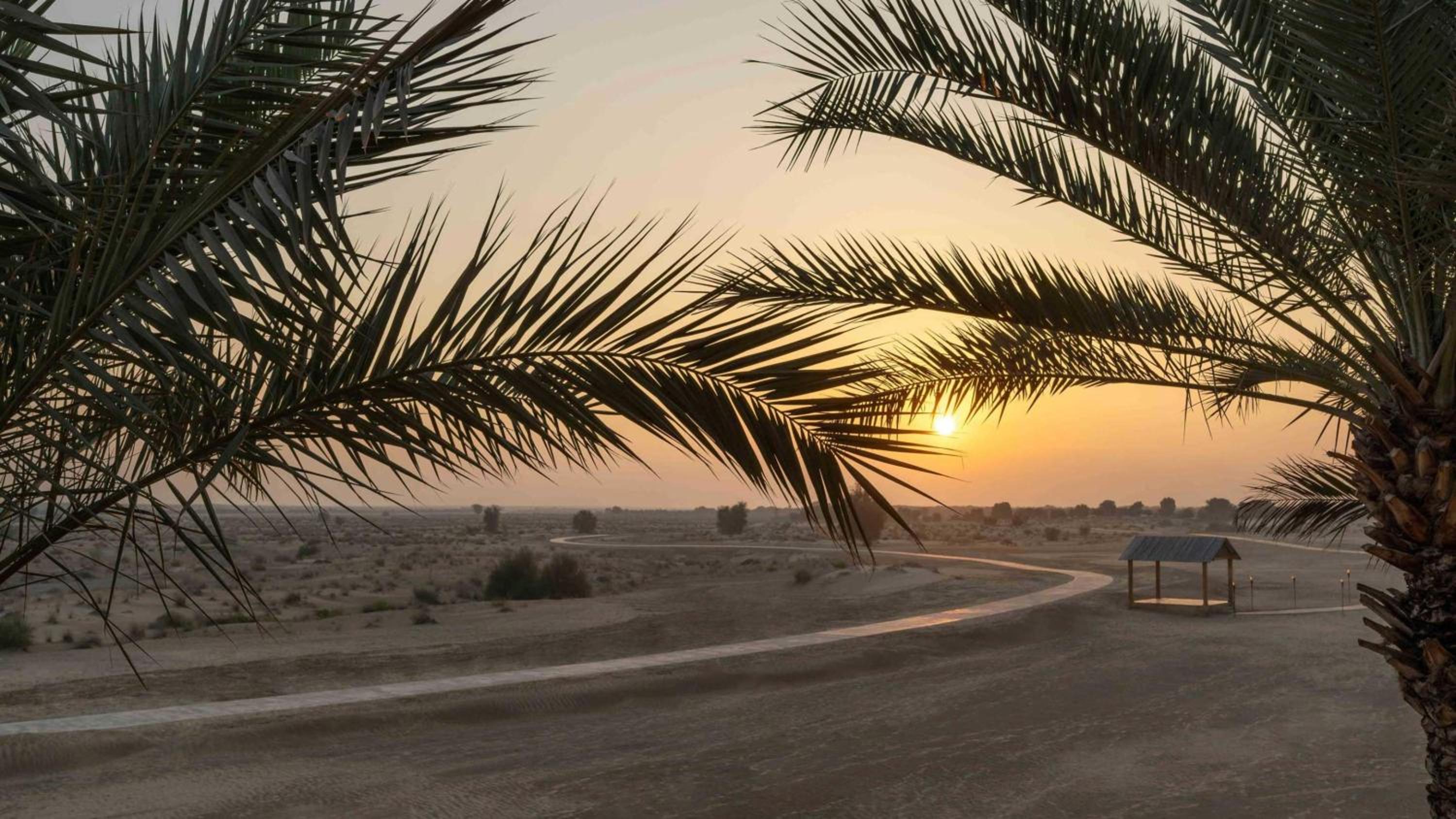 Bab Al Shams — снимок 7