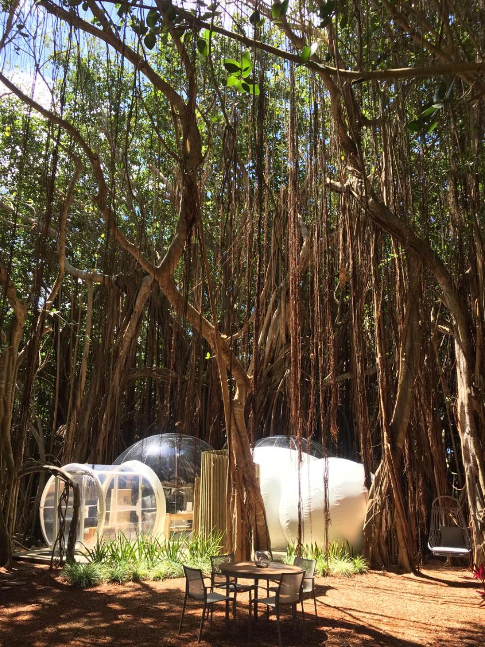 Bubble Lodge Ile aux Cerfs — снимок 27