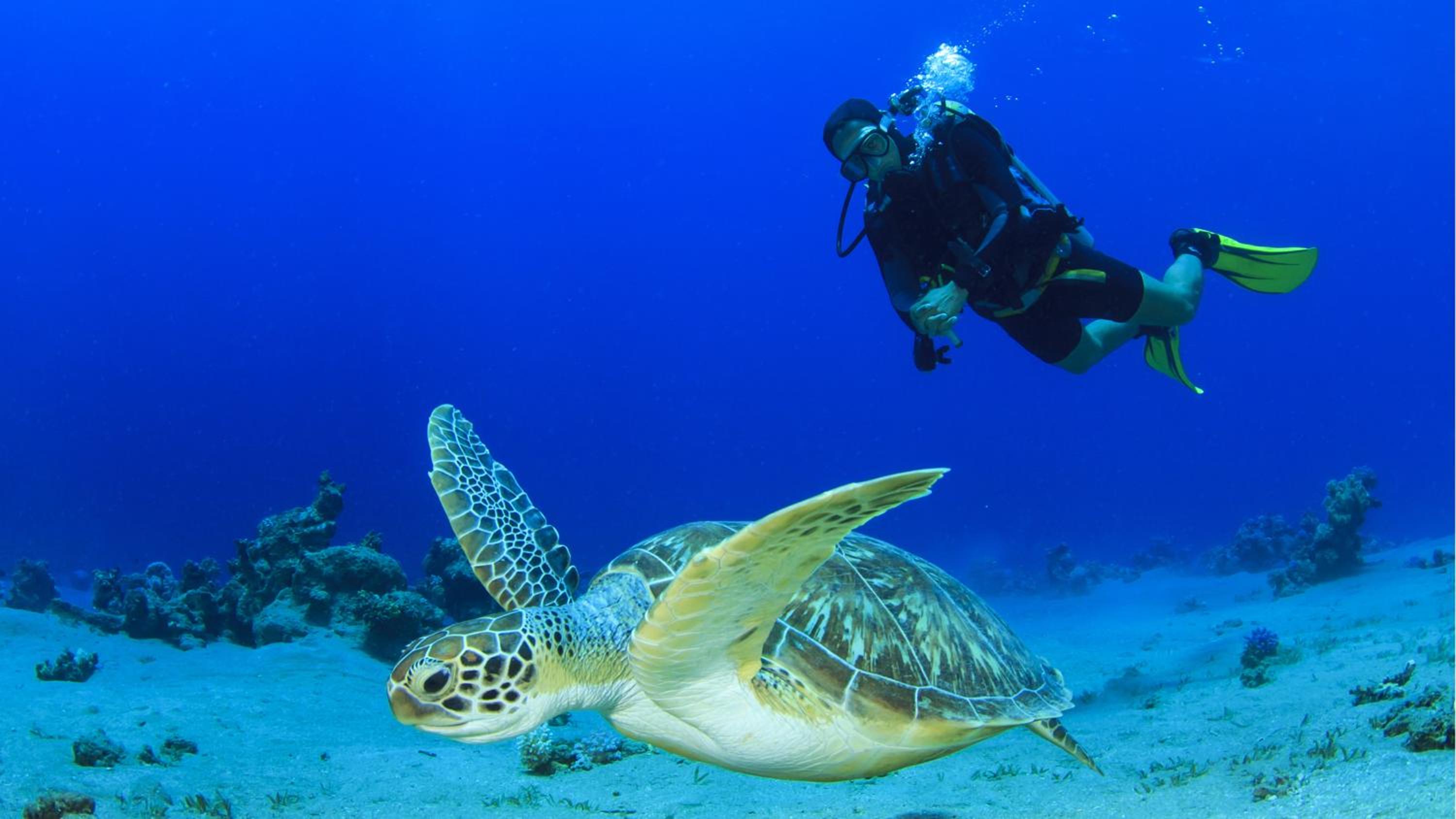 Sun Siyam Olhuveli Maldives — снимок 10