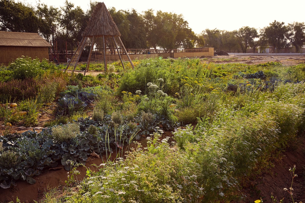 Heenat Salma Farm — снимок 25