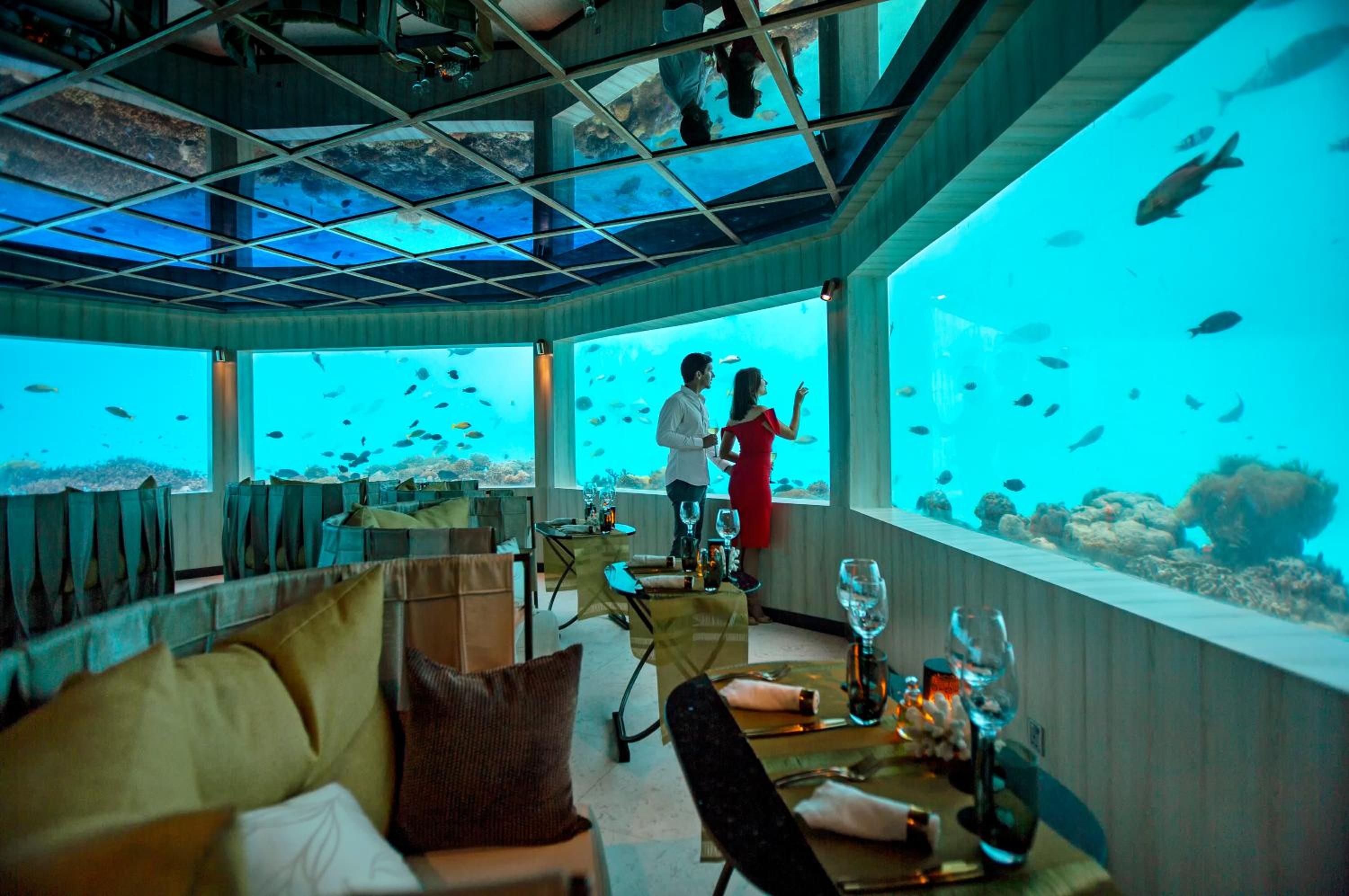 Ozen By Atmosphere At Maadhoo — снимок 9