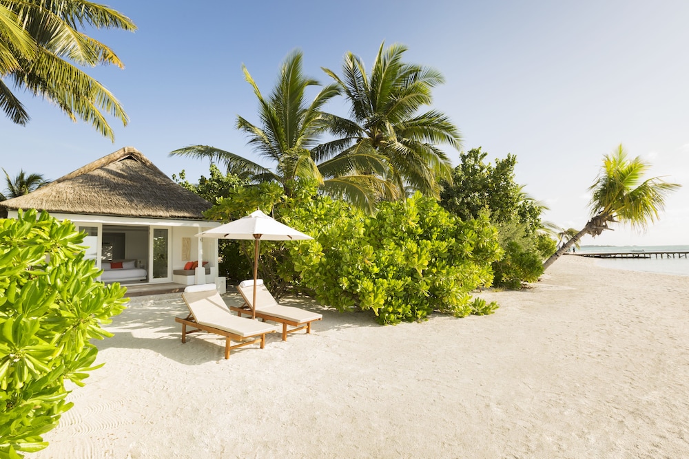 Lux* South Ari Atoll, Maldives — снимок 10