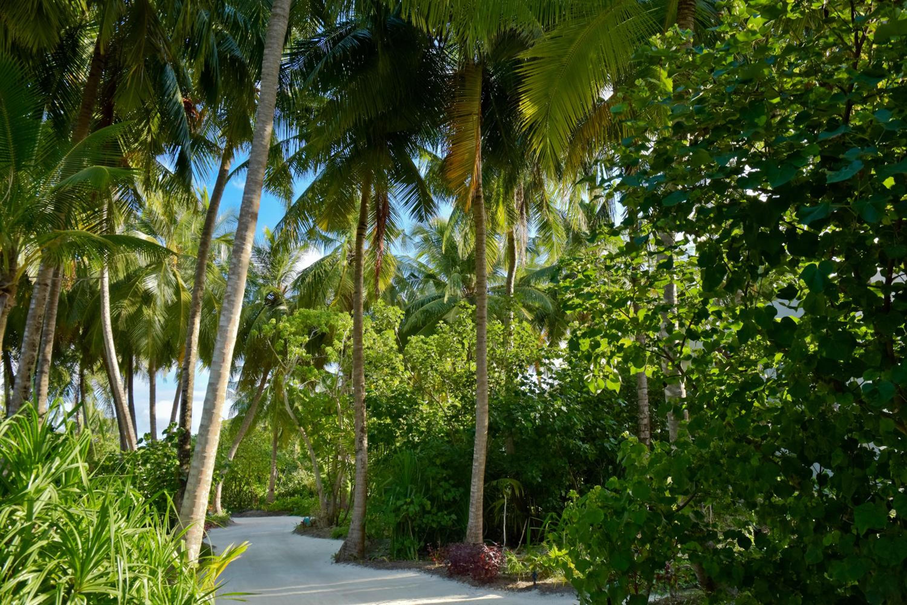 Kandima Maldives — снимок 8