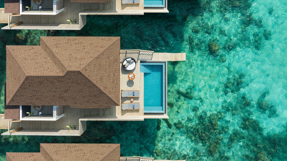 Avani + Fares Maldives — снимок 21