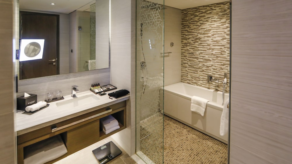 Pullman Sharjah — снимок 20