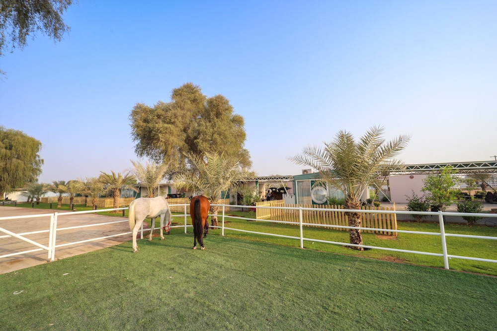 Anavrin Equestrian Retreat — снимок 8