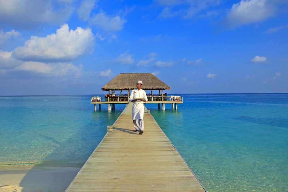Niva Velassaru Maldives — снимок 23