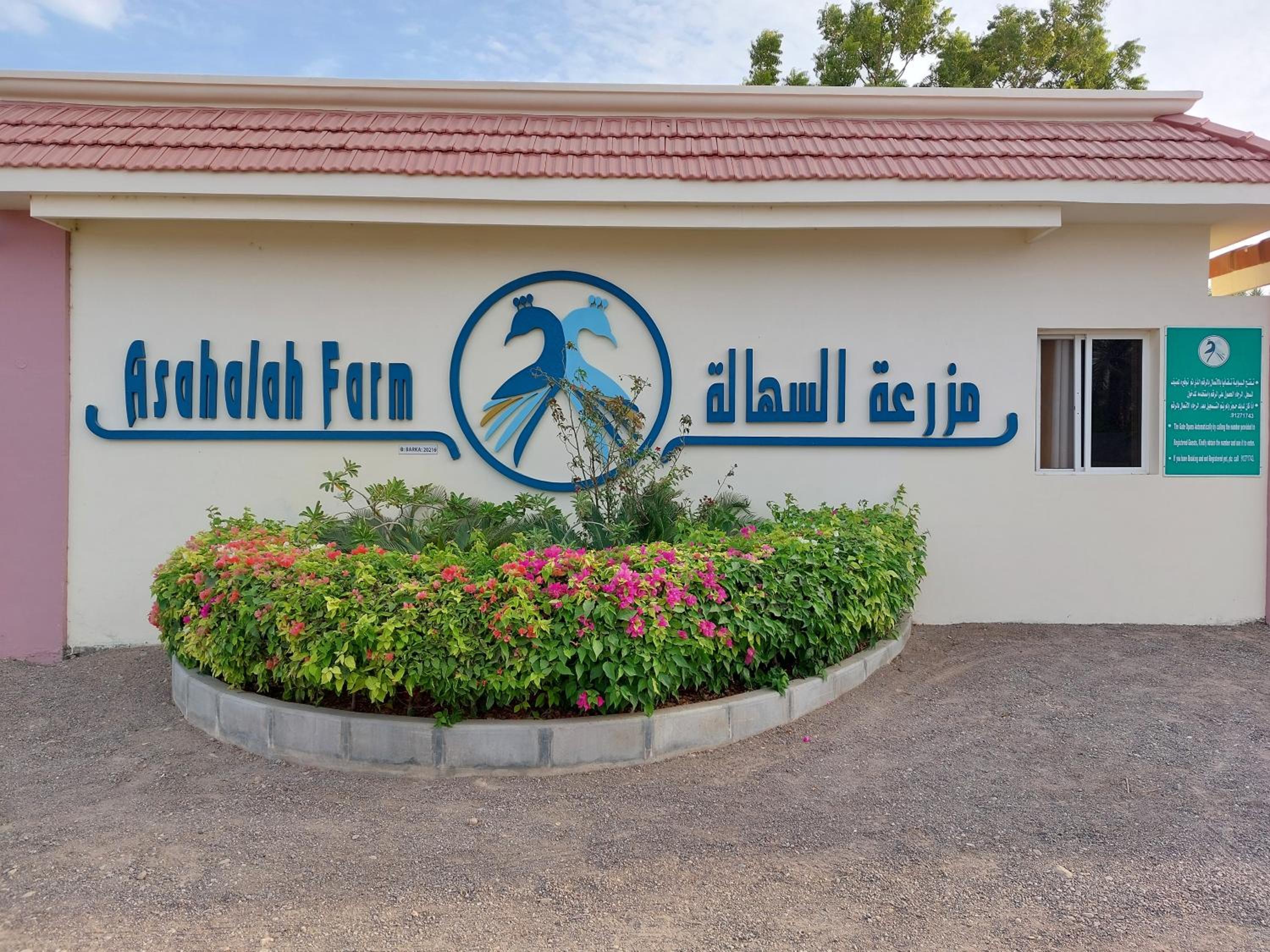 Asahalah Farm Villas — снимок 13